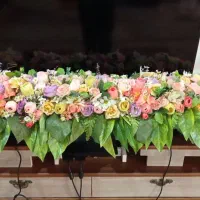 گل رومیزی متری
