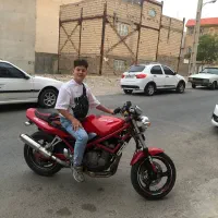 سوزکی بندیت 250|موتورسیکلت|قم, انسجام|دیوار