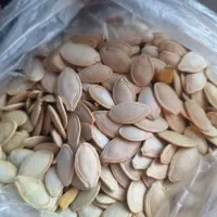 کدو گوشتی درجه یک و دو