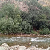 نیروی سرایدار ونگهبان
