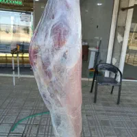 گوشت بزغاله شیری