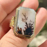 انگشتر فدیوم گوارسه طلا استاد گاچی شجر|بدلیجات|تهران, نیروی هوایی (پیروزی)|دیوار