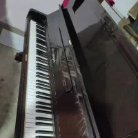 پیانوآکوستیک ژاپن شیراز|پیانو، کیبورد، آکاردئون|صدرا-فارس, فاز ۱|دیوار