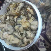 گوشت صدف