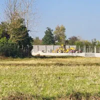 زمین کشاورزی|فروش زمین و ملک کلنگی|سنگر, |دیوار