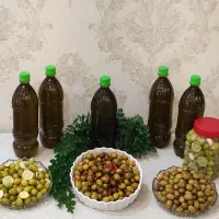 زیتون محلی ،روغن زیتون باغ خودمون|خوردنی و آشامیدنی|تهران, بهمن یار|دیوار
