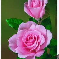 شرکت خدماتی و نظافتی دسته گل