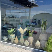 گیاهان آپارتمانی،فضای باز،گلدان،خاک،سم و کود|گل و گیاه طبیعی|مرودشت, مختارآباد|دیوار