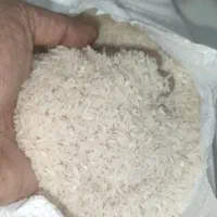 طارم هاشمی