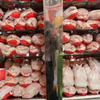 فروشنده برای مرغ فروشی کوشک قاضی