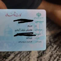کارت ملی خانم هادیان پیدا شده