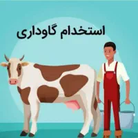 کارگر گاوداری