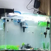 آکواریم متوسط با تمام لوازم