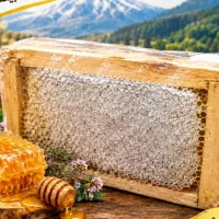 فروش عسل باموم فانتزی یک کیلویی کوهستان