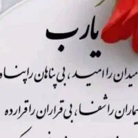 مدارک گمشده بهزاد حیدری