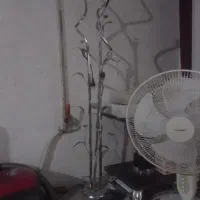 آپاژور ایستاده