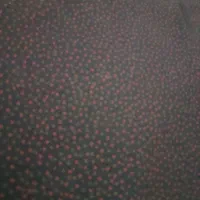 انواع چادر مشکی گلدار  ساده مجلسی دوخته شده