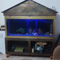فروش زیر قیمت آکواریوم