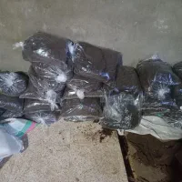 کود حیوانی  بسته بندی  شده