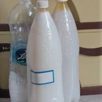 سه بطری سم ضد سوسک