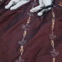 واگذاری گربه