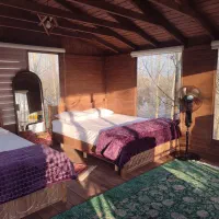 ویلای-جنگلی-خاص-با-امکان-قایق-سواری-و-خرید-اقساطی