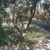 زمین-شهریار-1500-متر