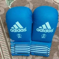 دسکش بوکس|تجهیزات ورزشی|محمدیه-قزوین, |دیوار