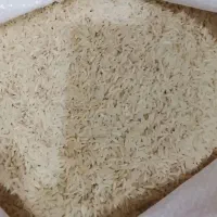 فروش برنج دانه درشت ممتاز شمال با پخت تضمینی