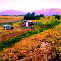 فروش-باغ-نقلی-آینده-دار-سنددار-با-موقعیت