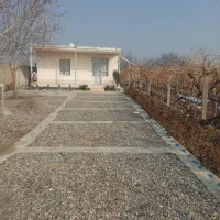 فروش-باغ-انگور-پر-بار-با-ساختمان-مسکونی