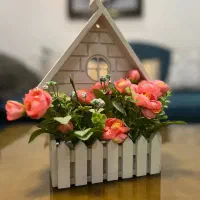 اکسسوری و تزئینی