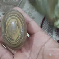 سنگ‌کهکشونی