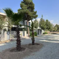 زمین سند تک برگ شهرکی کوهسار