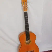 گیتار کلاسیک|گیتار، بیس، امپلیفایر|اردبیل, |دیوار