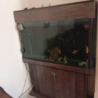 آکواریوم به همراه ماهی|ماهی|مشکین‌دشت, |دیوار