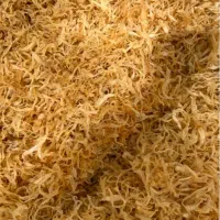 پیاز خلالی چیپسی