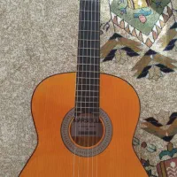 گیتار|گیتار، بیس، امپلیفایر|شیروان (خراسان), |دیوار