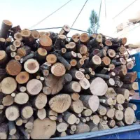 خریدچوب وهرس درختان|خدمات باغبانی و درختکاری|لنجان, |دیوار