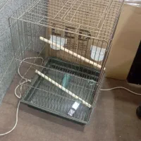 قفس نو