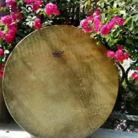 مولودی خوانی توسط بانو و آموزش دف