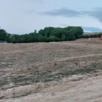 فروش زمین ۳۵۰ متری قلعه قافه بالا|فروش زمین و ملک کلنگی|مینودشت, |دیوار