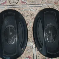 باند پایونر