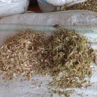 فروشه کاه لوبیا و نخود به قیمت