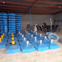 انواع بچه ماهی کپور و آمور امساله|ماهی|گرگان, |دیوار