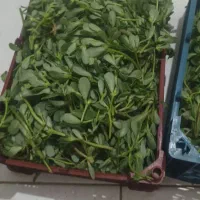 خلفه