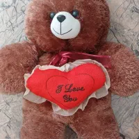 خرس قهوه ای