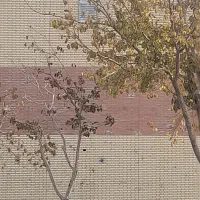 نوسازی. ساخت وساز. وهمه ی  تعمیرات ساختمان