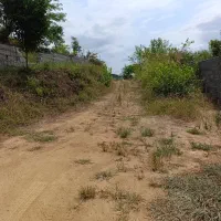 زمین باغی واقع دربام سبز کومله|فروش زمین و ملک کلنگی|کومله, |دیوار