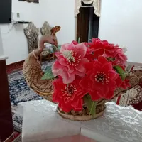 مجسمه طاووس باگل مصنوعی|گل مصنوعی|تاکستان, |دیوار
